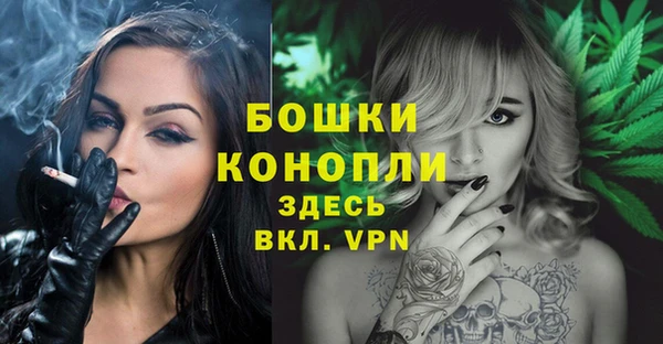 стаф Беломорск