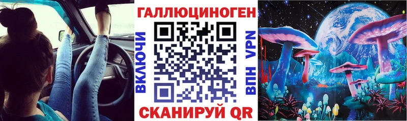 Псилоцибиновые грибы Psilocybine cubensis  Монино 